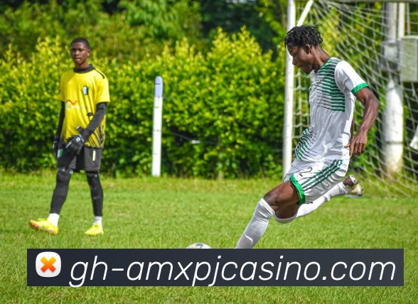 多媒体互动体验